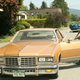 Image for article titled Action Shots From Zombieland Supernatural And Wolfman, Glamour Shots Of New Moon's Italian Vampires